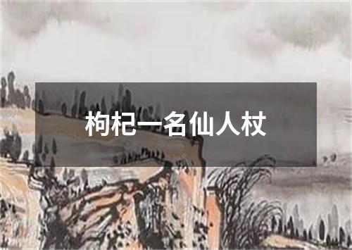 枸杞一名仙人杖