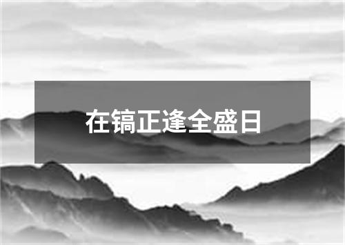 在镐正逢全盛日