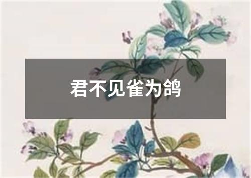 君不见雀为鸽