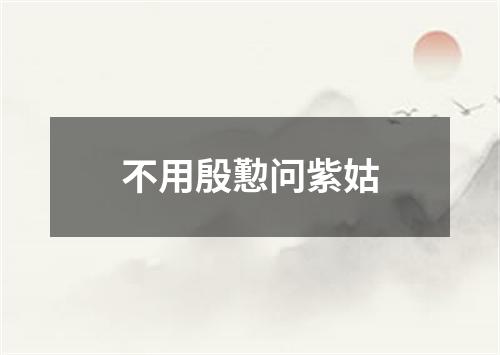 不用殷懃问紫姑