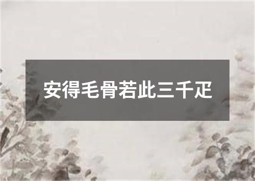 安得毛骨若此三千疋