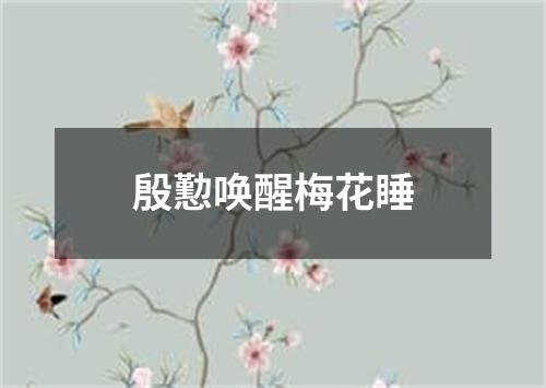 殷懃唤醒梅花睡