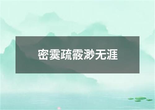 密霙疏霰渺无涯