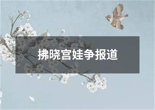 拂晓宫娃争报道