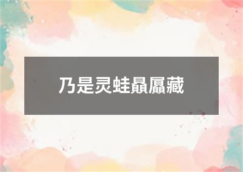 乃是灵蛙贔屭藏