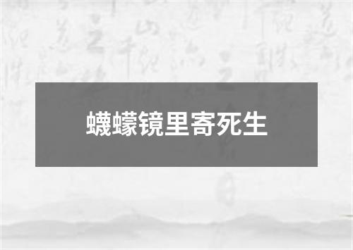 蠛蠓镜里寄死生