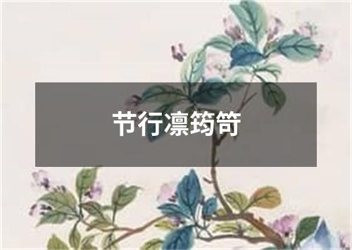 节行凛筠笴