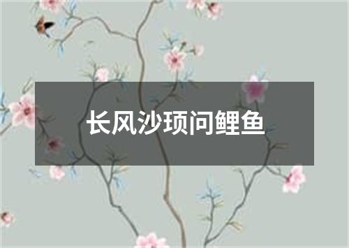 长风沙顼问鲤鱼