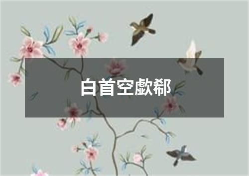 白首空歔郗