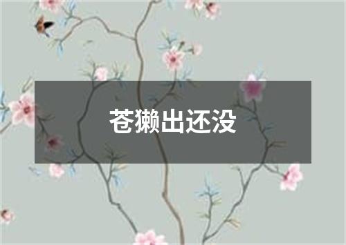 苍獭出还没