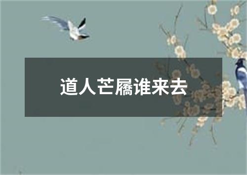 道人芒屩谁来去