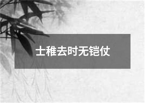 士稚去时无铠仗