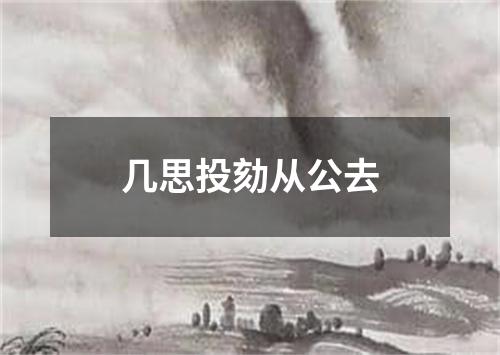 几思投劾从公去