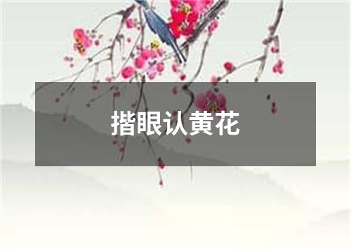 揩眼认黄花