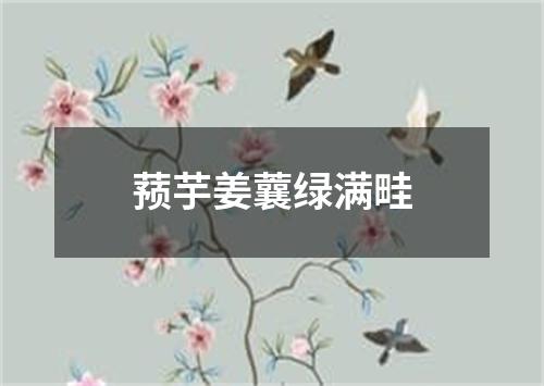 蓣芋姜蘘绿满畦