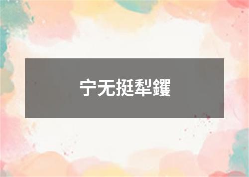 宁无挺犁钁