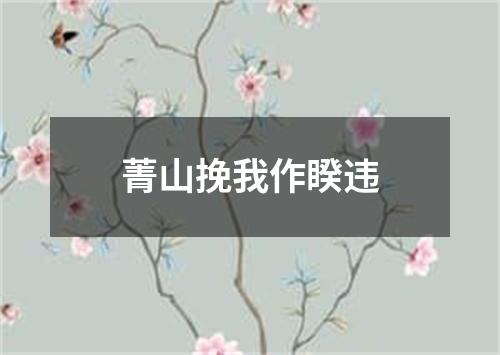 菁山挽我作睽违