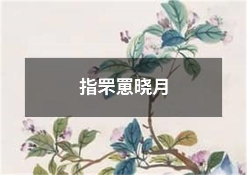 指罘罳晓月