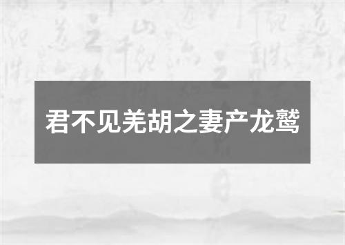 君不见羌胡之妻产龙鹫