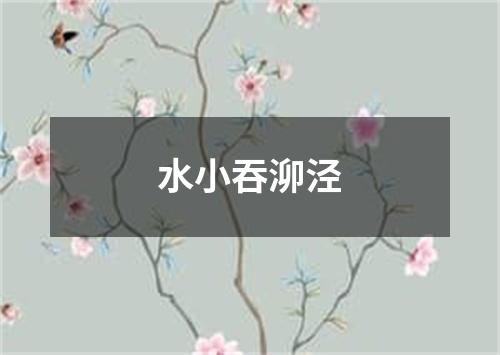 水小吞泖泾