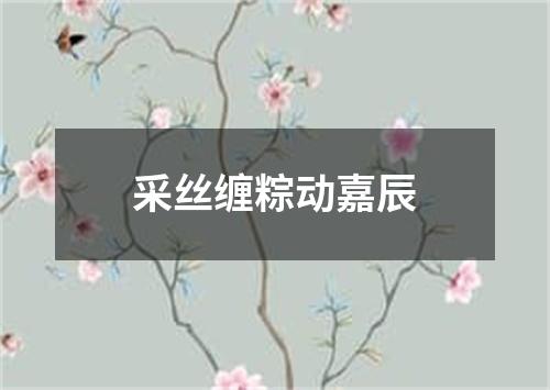 采丝缠粽动嘉辰