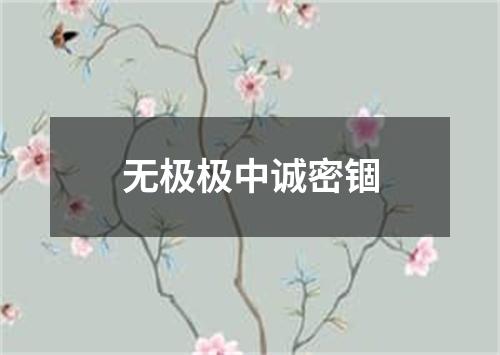 无极极中诚密锢