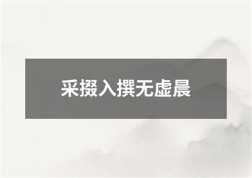 采掇入撰无虚晨