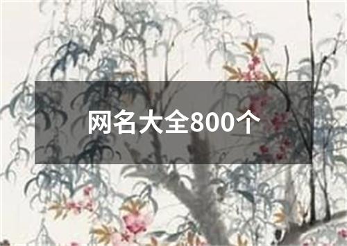 网名大全800个