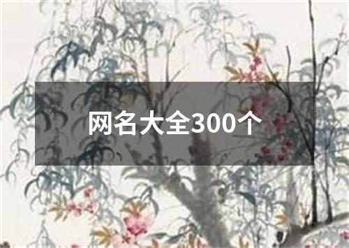 网名大全300个