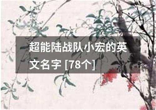 超能陆战队小宏的英文名字 [78个]