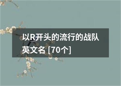 以R开头的流行的战队英文名 [70个]