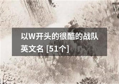 以W开头的很酷的战队英文名 [51个]