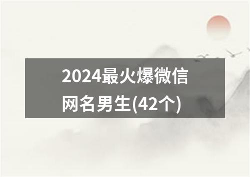 2024最火爆微信网名男生(42个)