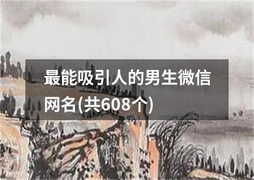 最能吸引人的男生微信网名(共608个)