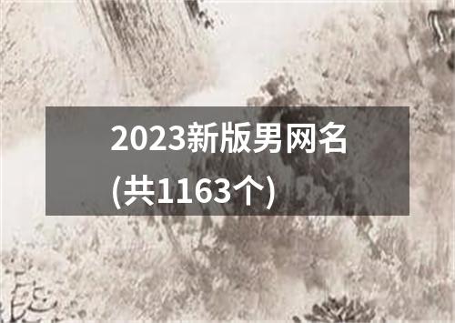 2023新版男网名(共1163个)