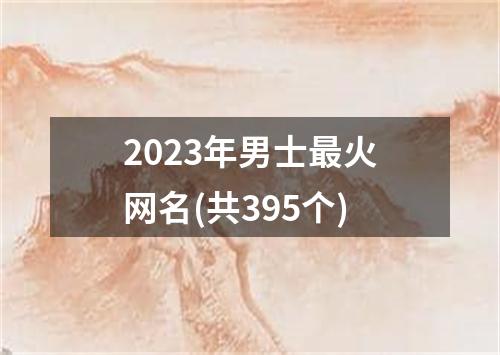 2023年男士最火网名(共395个)