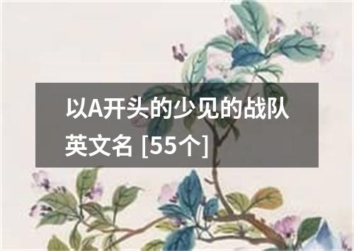 以A开头的少见的战队英文名 [55个]