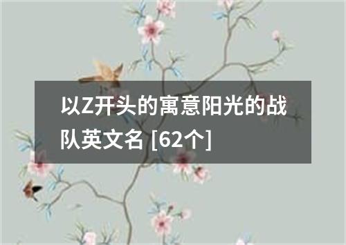 以Z开头的寓意阳光的战队英文名 [62个]