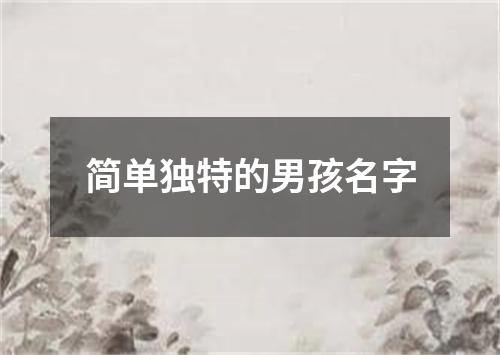 简单独特的男孩名字