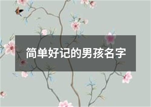 简单好记的男孩名字