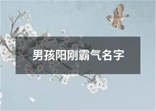 男孩阳刚霸气名字