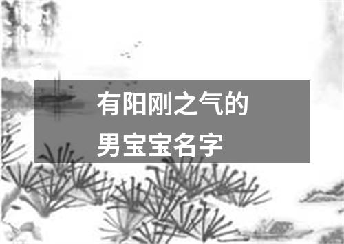 有阳刚之气的男宝宝名字