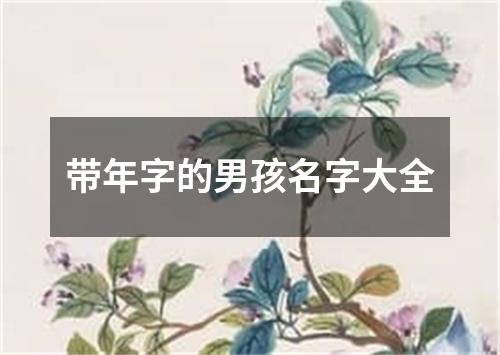 带年字的男孩名字大全