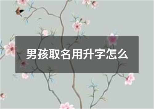 男孩取名用升字怎么