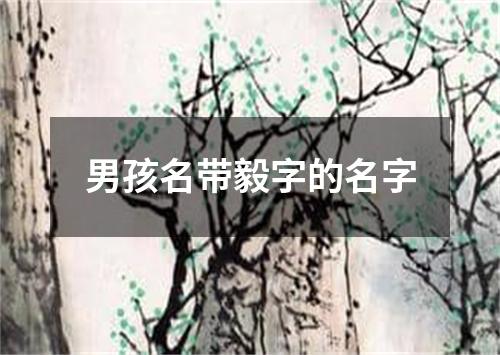 男孩名带毅字的名字