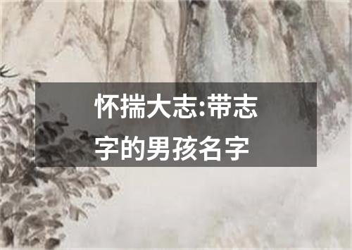 怀揣大志:带志字的男孩名字