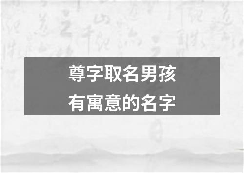 尊字取名男孩有寓意的名字