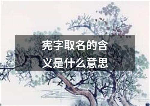 宪字取名的含义是什么意思