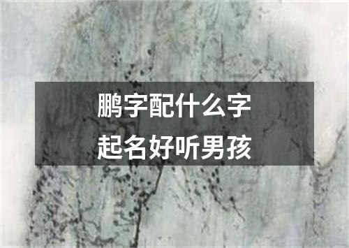 鹏字配什么字起名好听男孩