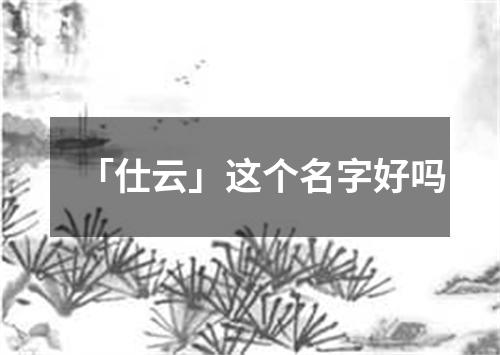 「仕云」这个名字好吗